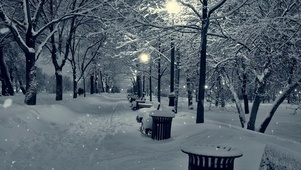 雪
