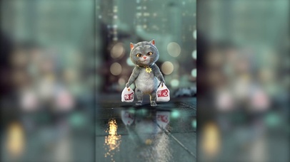 斑布猫—爱自己