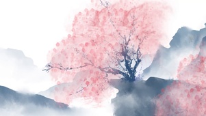 悬崖边的樱花