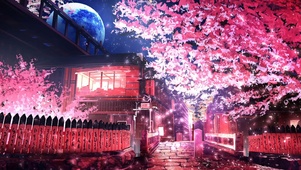 京都夜景樱花盛开