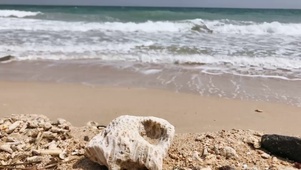 海岛四季浪花