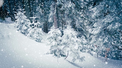 漫天大雪