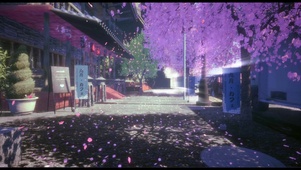樱花街道