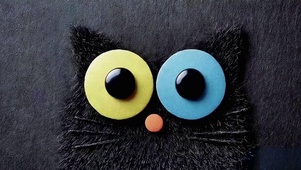 社恐小黑猫的日常