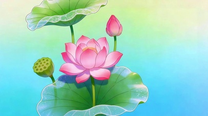 粉莲初绽
