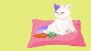我不吃胡萝卜