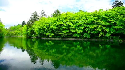 4K新绿秀丽湖景