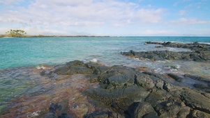 自然海滩海浪拍打礁石