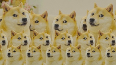 狗头