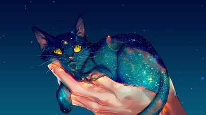 猫