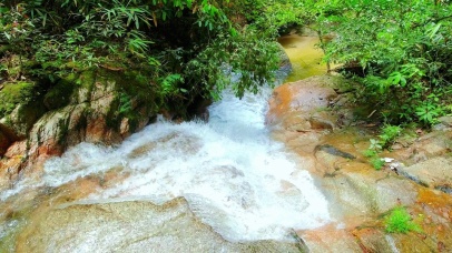 清凉山间小溪 4K