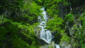 高山绿林瀑布