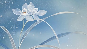 雪冰花