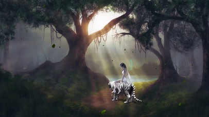 森林阳光精灵白虎