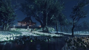 萤火虫夜晚