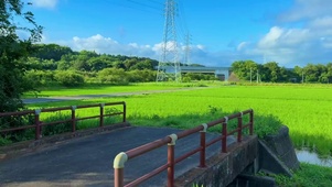 夏天乡村田野