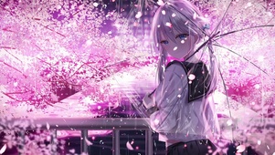 雨天樱花少女