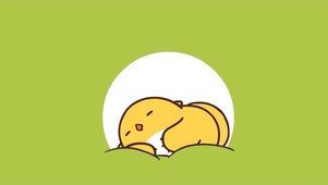 比丢罗小黑