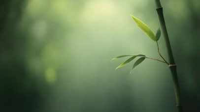 护眼治愈 极简风竹叶