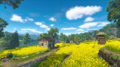 乡村田野油菜花