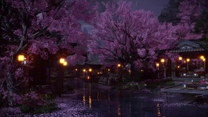 夜晚的樱花风景