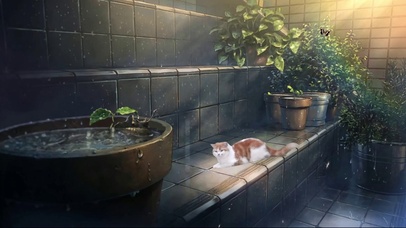 洒满阳光的小院