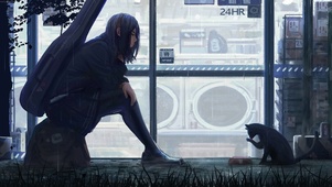 喂食路边野猫