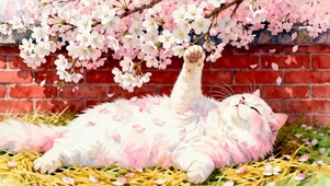 花树下猫咪