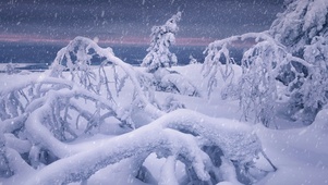 冰河雪树