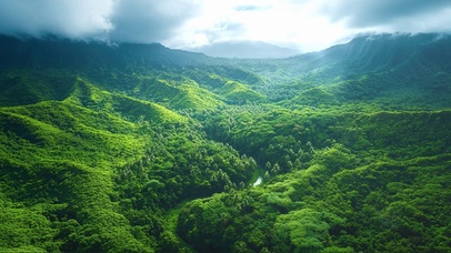 清新绿色山谷风光