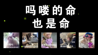 吗喽的命也是命