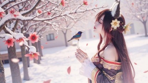 停云（cosplay）