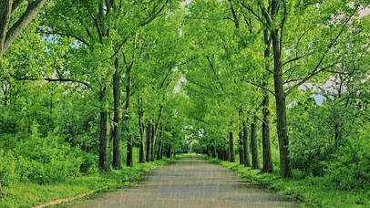 倾盆而下，洗涤心灵