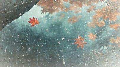 雨中秋叶