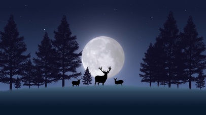 4k扁平风景·月下林中鹿