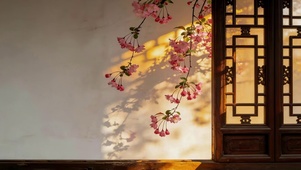 唯美海棠花