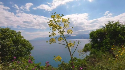 海边风景