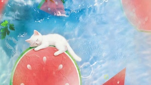 夏日猫咪