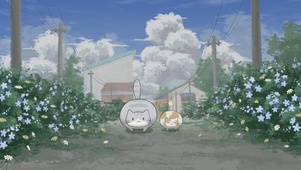 走呀走