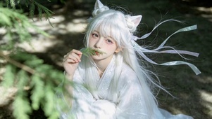 林间白发猫耳古风美少女