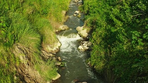 4k阳光下清澈小溪溪流自然