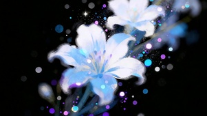 暗夜花韵