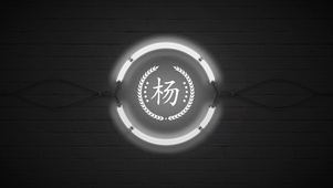 百家姓杨
