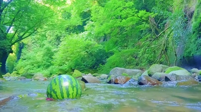 夏日溪流西瓜