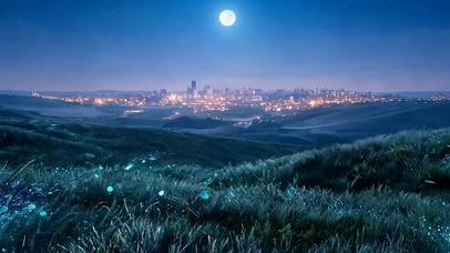 夜景花草树木带鱼屏