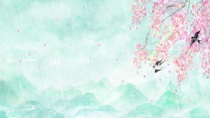 雨天燕子雨滴屏花朵唯美大气朦胧