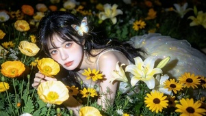 花间蝶信