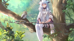 白面鸮