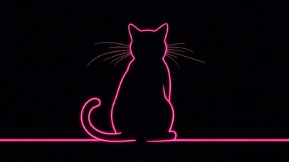 星光猫咪