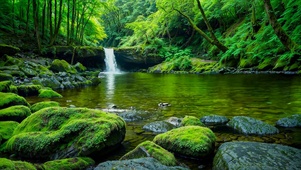 夏日绿林清凉瀑布流水 